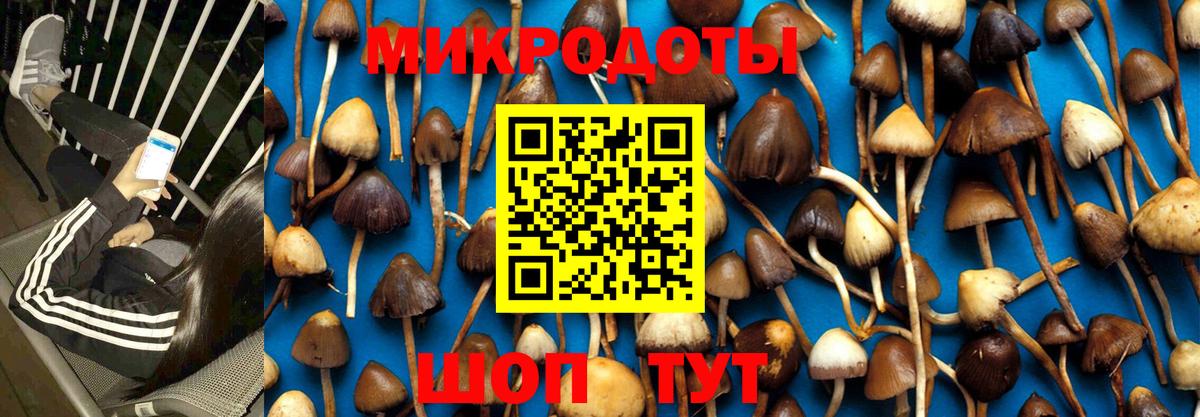 Галлюциногенные грибы Magic Shrooms Сыктывкар